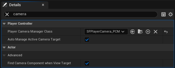 设置 Player Camera Manager Class